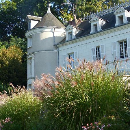 Bed and Breakfast Manoir De La Vigneraie Athée-sur-Cher Exterior foto