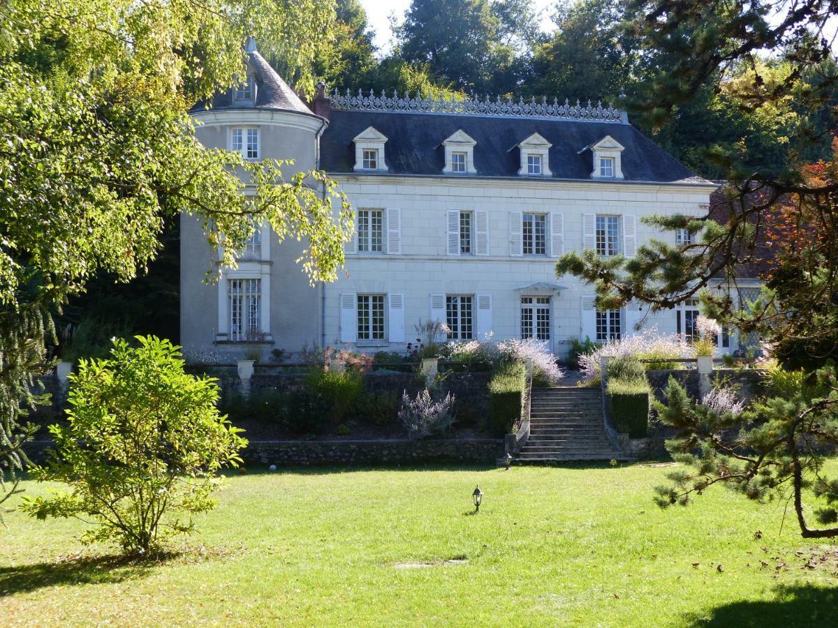 Bed and Breakfast Manoir De La Vigneraie Athée-sur-Cher Exterior foto